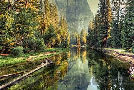 大象传媒app无需付费-探索大象传媒APP，免费娱乐的广阔天地