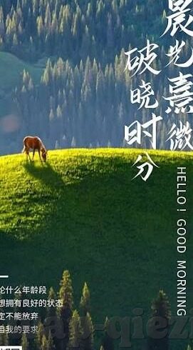 果冻传媒123区-探索果冻传媒123区的多元魅力