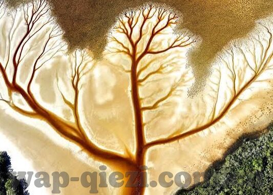 果冻传媒乱码一线二线三线-探索传媒行业的多元化与内容创新，果冻传媒的实践与影响
