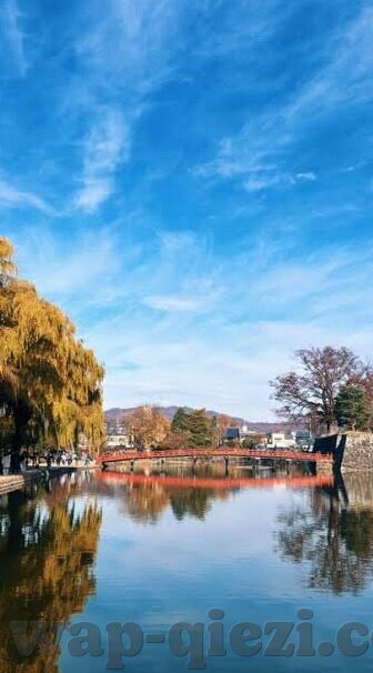 国际亚洲av日韩-多元文化视角下的亚洲影视艺术，国际、日韩的交融与特色