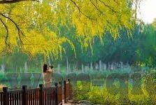 郭童童麻豆视频-且说网络亚文化的时代象征——郭童童麻豆视频现象的浮现与反思