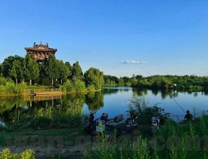 麻豆传媒映画在线-览鉴网络影视新纪元，麻豆传媒映画在线的多维度探索