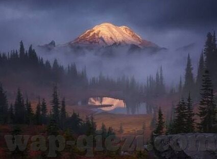麻豆视频免费版app-探索视频消费新态，浅尝麻豆视频免费版APP的实践与思考