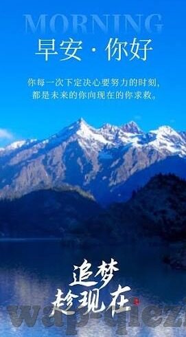 免费视频有码中文字幕-免费视频，有码中文字幕的魅力与边界