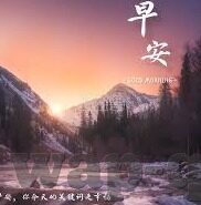 糖心app破解-糖心APP，网络安全与个人信息保护的警钟声