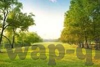 糖心app下载免费版-解锁甜蜜一刻，体验糖心免费版下载的魅力