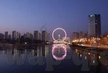 糖心logo免费软件入口-探讨糖心logo背后的多样性与免费软件入口的价值